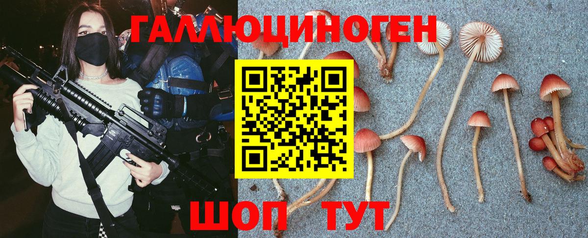 Псилоцибиновые грибы прущие грибы Чернушка
