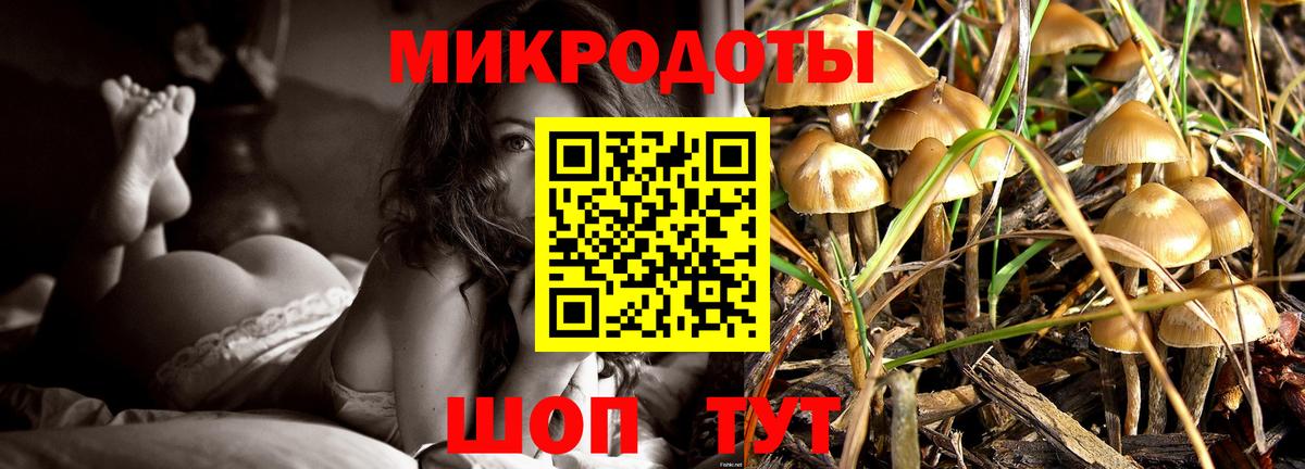 Галлюциногенные грибы GOLDEN TEACHER  Вход с VPN  Чернушка  как найти наркотики  Псилоцибиновые грибы мицелий 